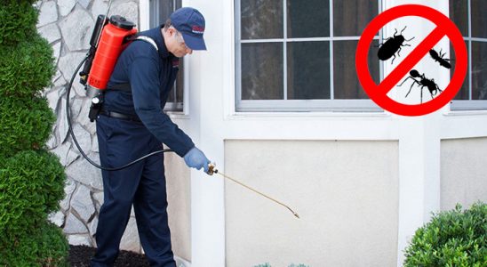 Ermenek Hamam Böceği İlaçlama böcek ilaçlama ve haşere kontrolü — ilaclama-tr.com